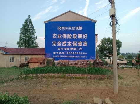 靖边墙体广告为何受追捧？